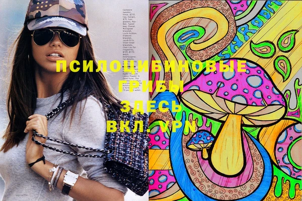 шишки Бородино