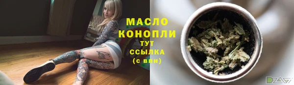 шишки Бородино