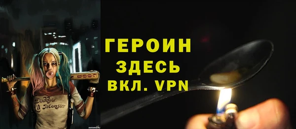 шишки Бородино