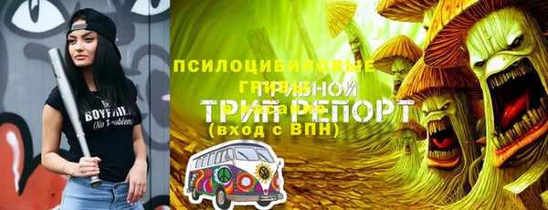 ECSTASY Верхний Тагил