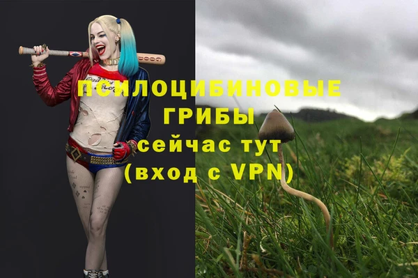 бошки Бронницы