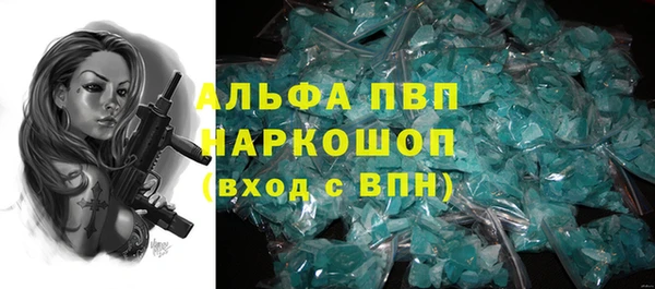 шишки Бородино