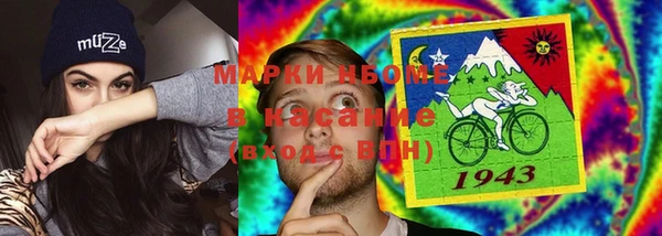 шишки Бородино