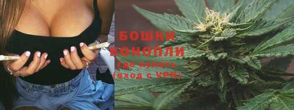 шишки Бородино