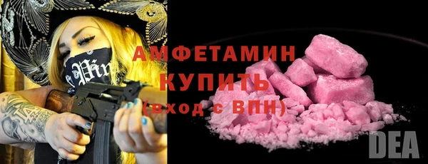 шишки Бородино