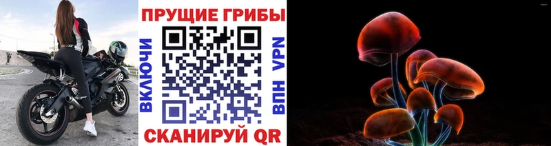MEGA   цены   Вытегра  Галлюциногенные грибы ЛСД 